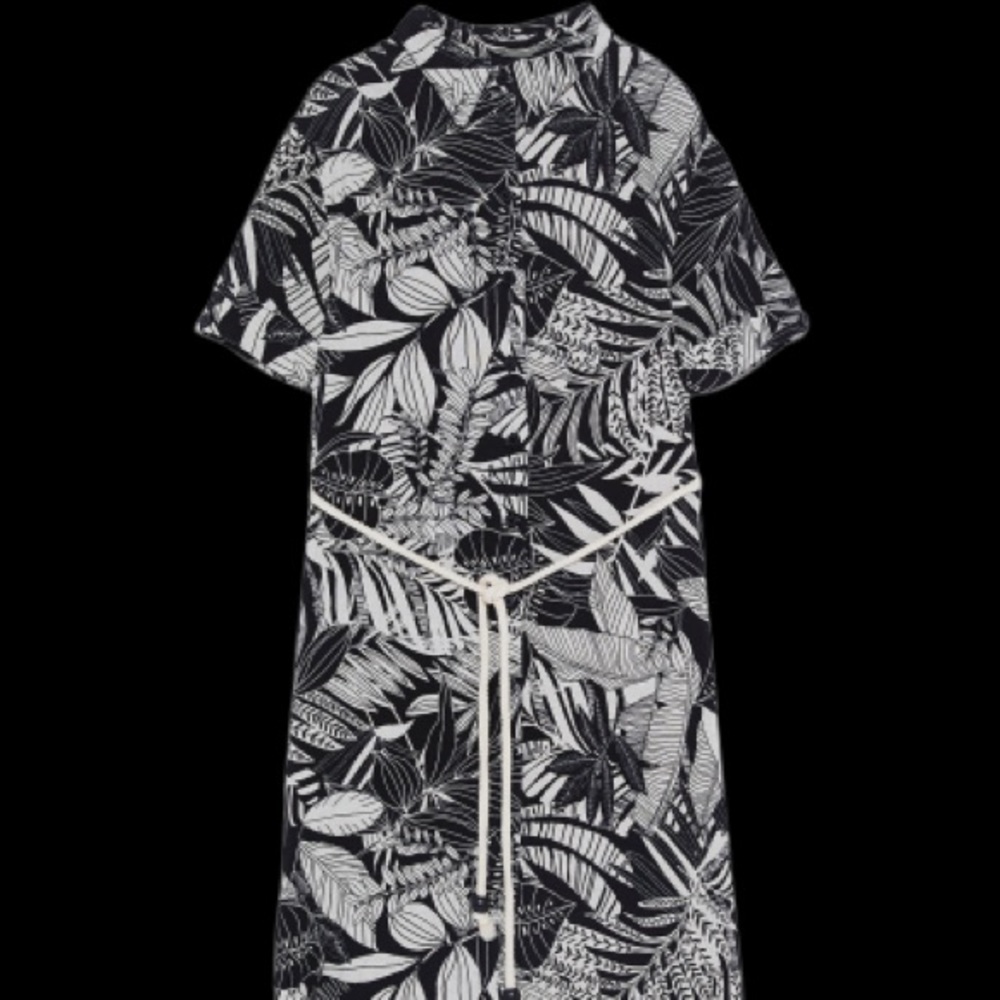 Zara Graphic Leaf Print Shirtdress